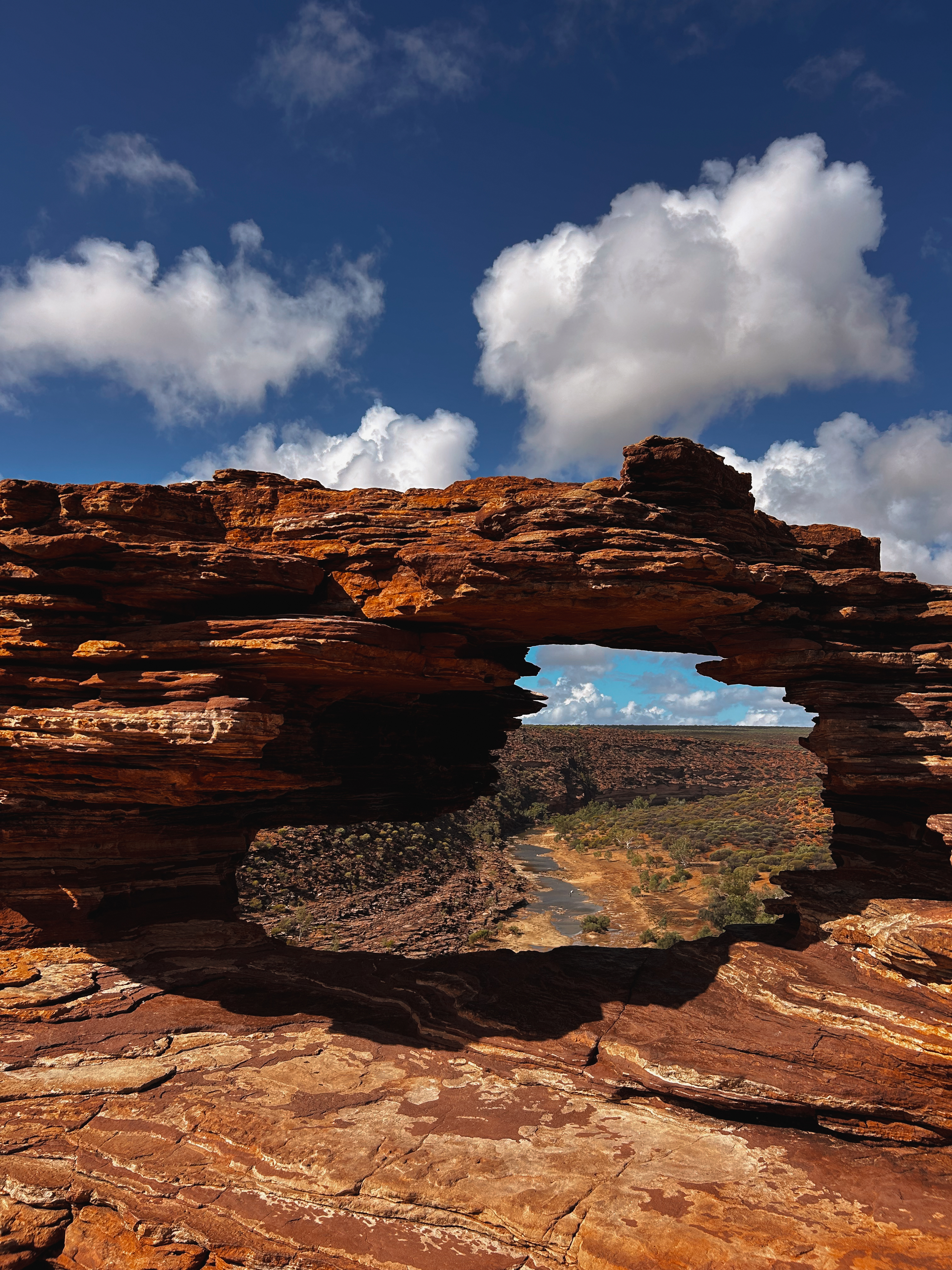 La ventana de la tierra