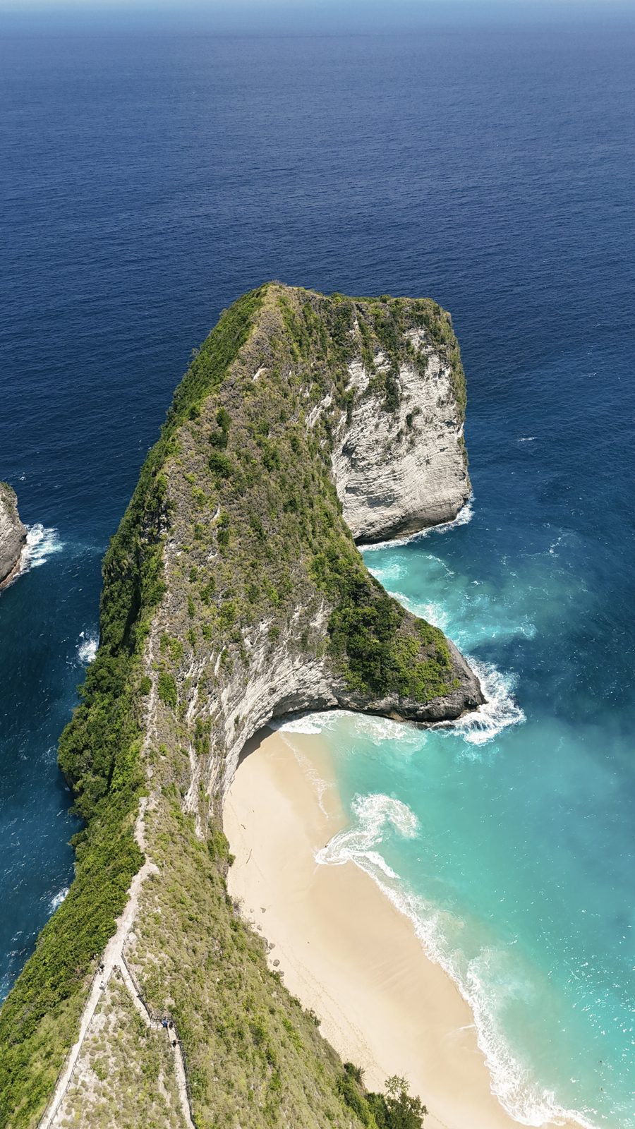 Nusa Penida T-Rex