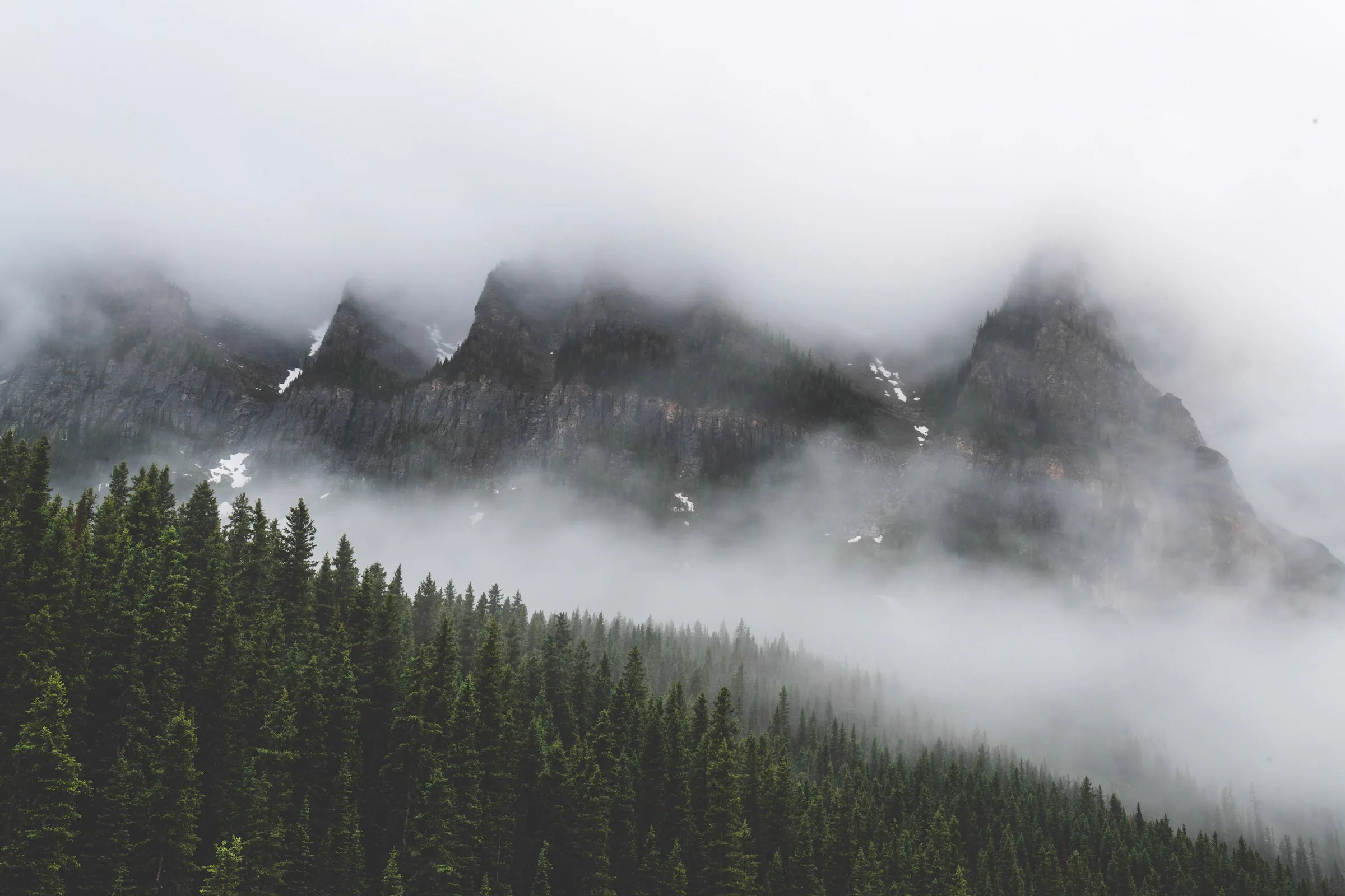 Andes en niebla al amanecer — Route of Condor
